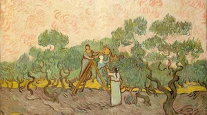 Women Picking Olives