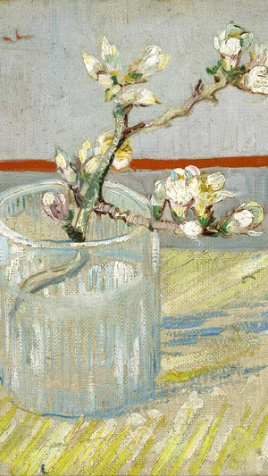 Blossoming Almond Branch in a Glass