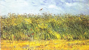 Wheat Field with a Lark