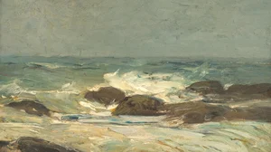 Costa rocosa