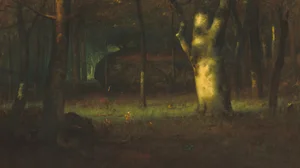 Sunset in the Woods