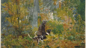 On the Trail
