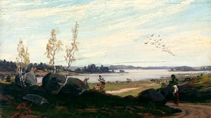 Migratory Birds