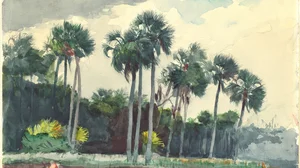Red Shirt, Homosassa, Florida