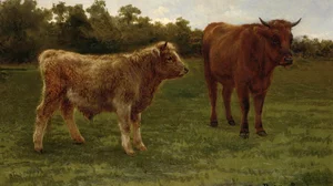 Two cows grazing