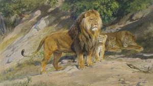 The King watches