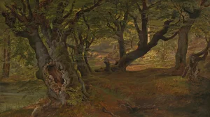 View of Bregentved Forest, Sjaeeland
