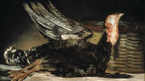 Dead Turkey