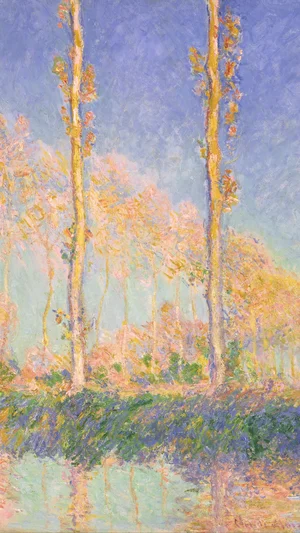 Poplars