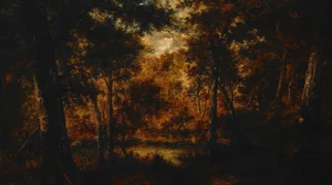 The Fairy Pool