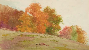 Autumn Trees