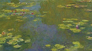 Le bassin aux nymphéas