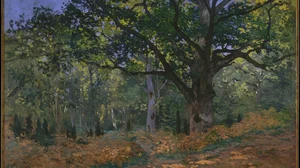 The Bodmer Oak, Fontainebleau Forest