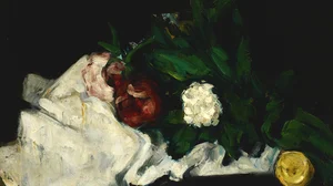 Flowers and Fruits