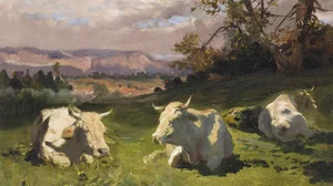 Blonde d'Aquitaine resting