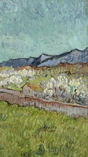 View of the Alpilles
