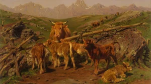 Weaning the Calves