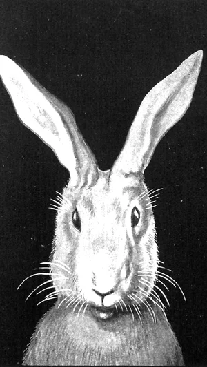 Jules Renard, Histoires naturelles, Le lapin