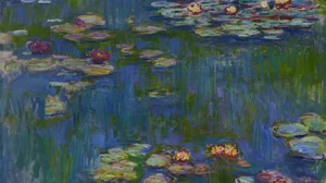 Water Lilies
