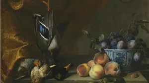Still life of plums in a blue and white porcelain bowl