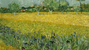 Ansicht von Arles mit Schwertlilien im Vordergrund