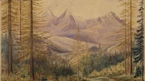 Rocky Mountain Peaks (near boundary) from the summit of Flathead Pass