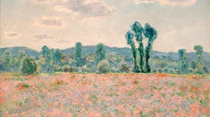 Poppy Field