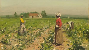 Picking Cotton