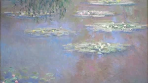 Waterlilies