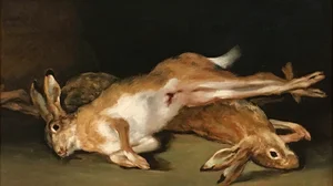 Dead Hares