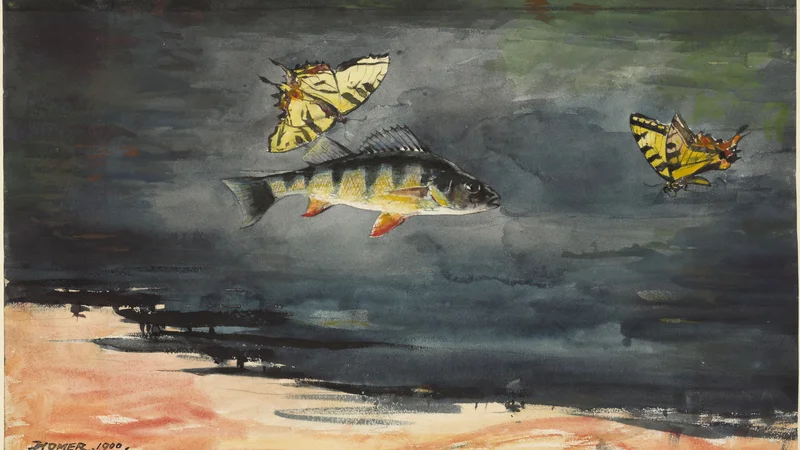 Winslow Homer — Fish and Butterflies
