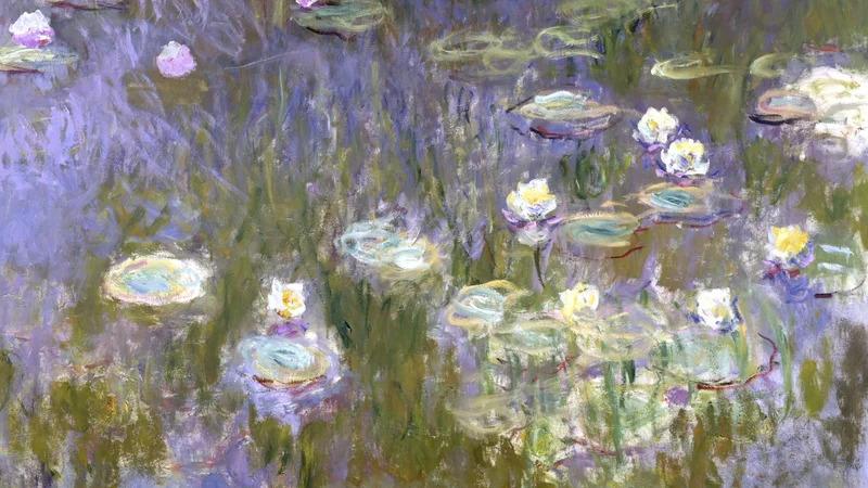 Water Lilies