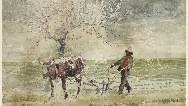 Winslow Homer — Blossom Time in Virginia