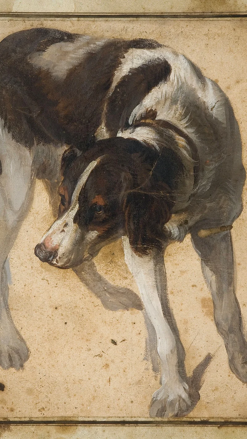 Alexandre-François Desportes — A Spaniel Turning to the Left