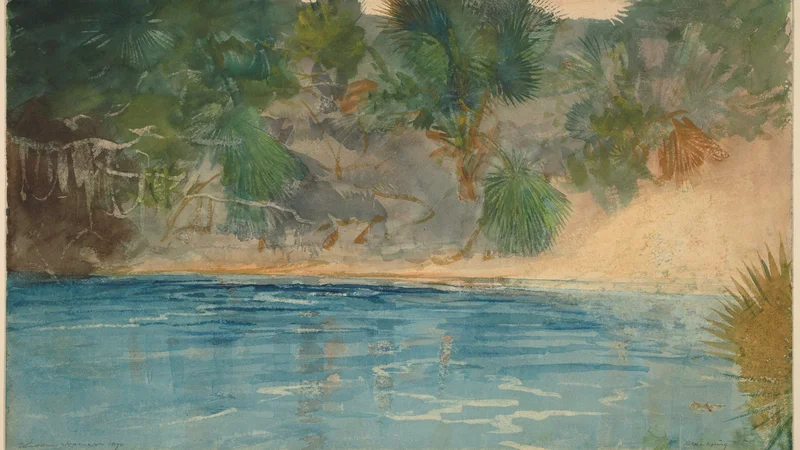 Winslow Homer — Blue Spring, Florida