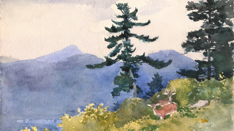 North Woods Club, Adirondacks
