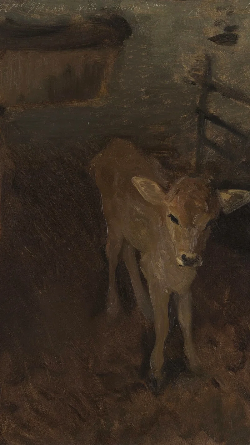 John Singer Sargent — A Jersey Calf