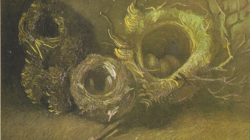 Vincent van Gogh — Still Life with Three Birds' Nests