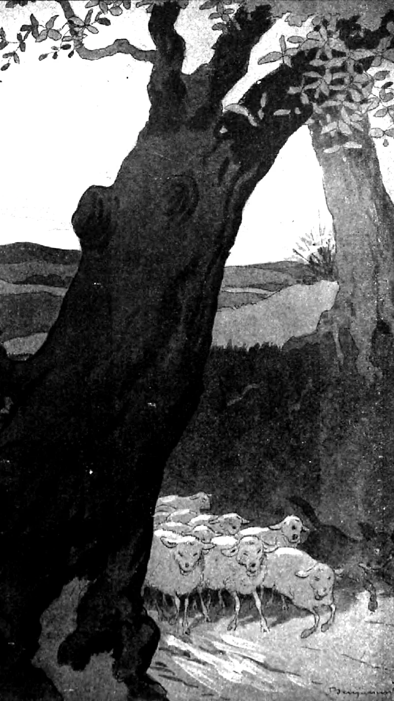 Benjamin Rabier — Jules Renard, Histoires naturelles, les moutons
