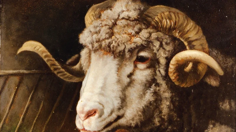 Rosa Bonheur — Head of a ram