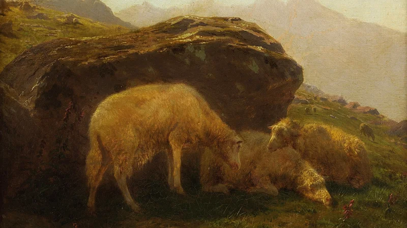 Sheep on a Hillside