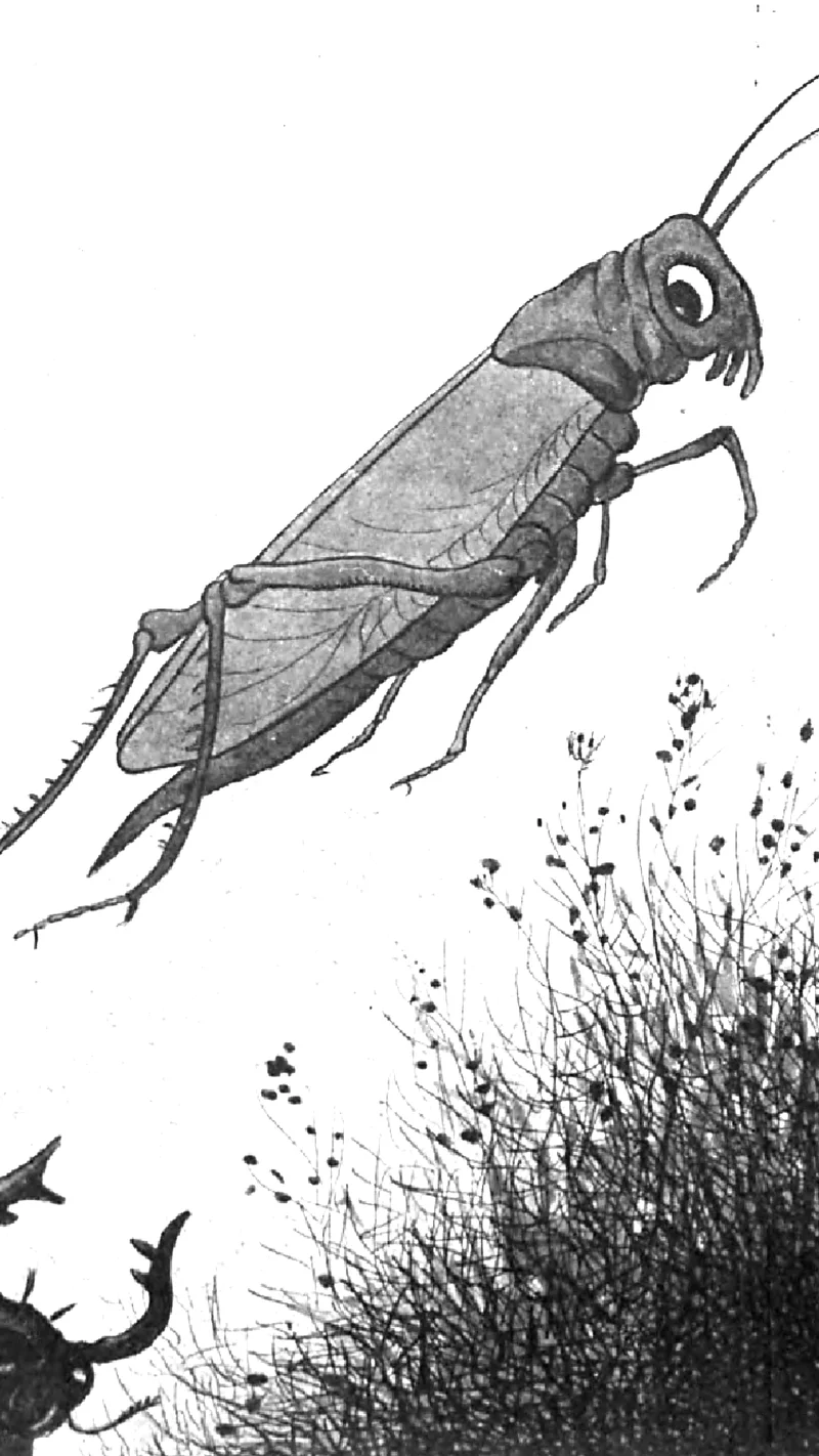 Benjamin Rabier — La Sauterelle (The Grasshopper)
