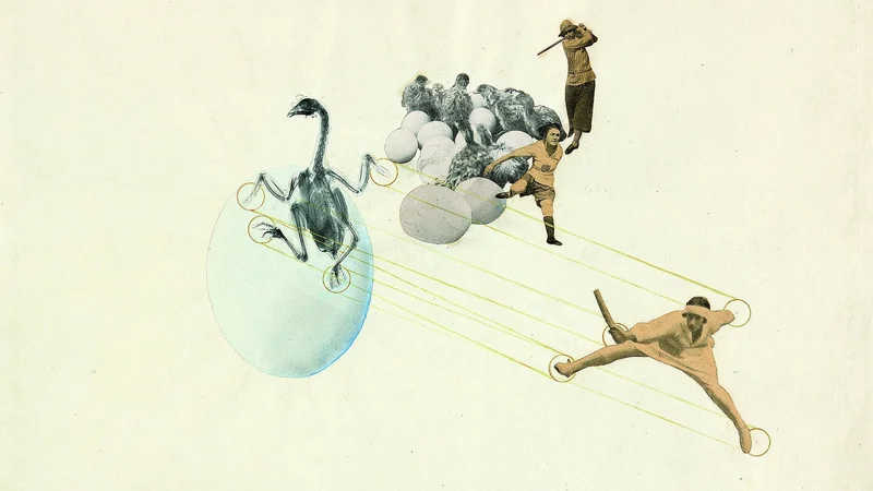 László Moholy-Nagy — Once a Chicken, Always a Chicken