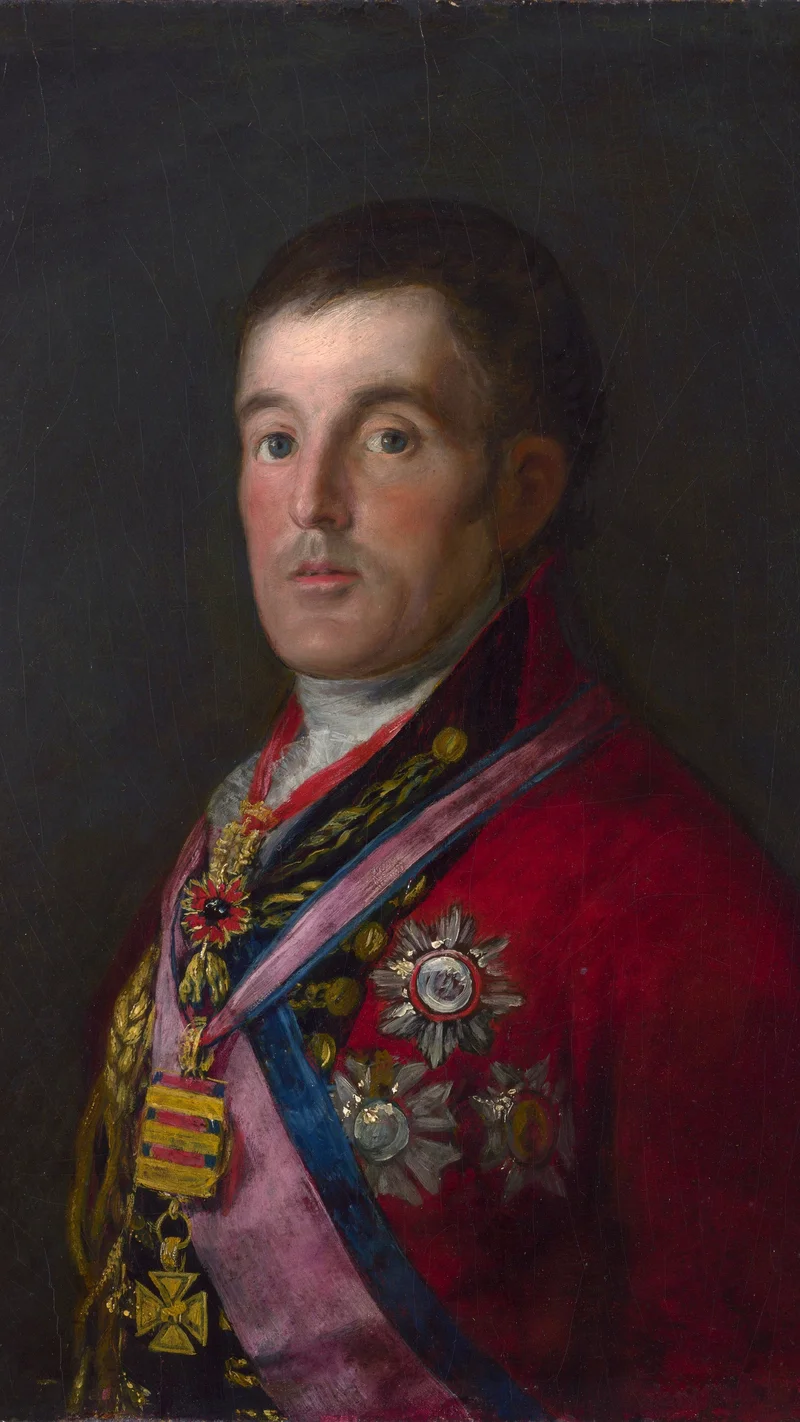 Francisco Goya — Portrait of the Duke of Wellington