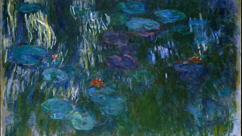 Water Lilies