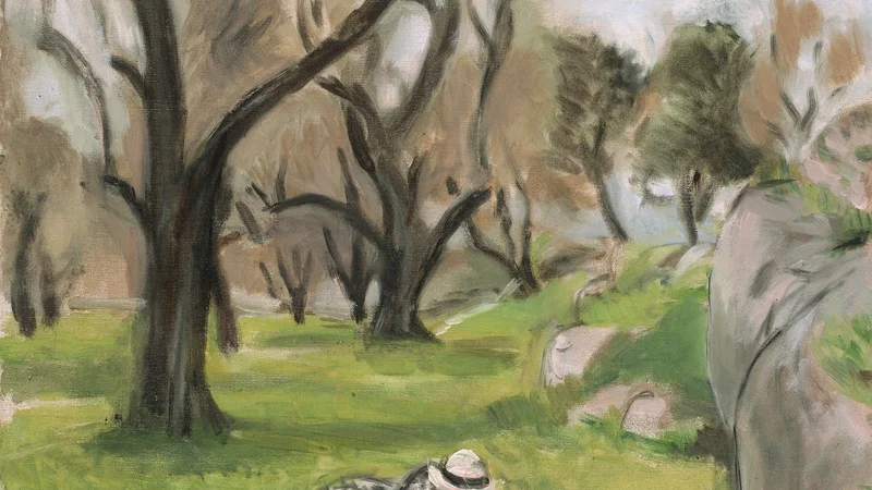 Henri Matisse — Paysage du Midi