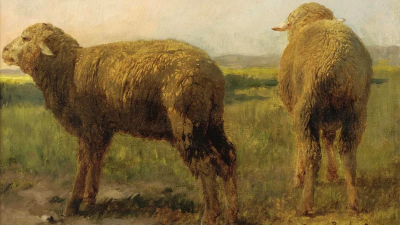 Sheep in a meadow