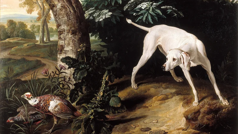 Alexandre-François Desportes — White Dog in front of an Elderberry Bush