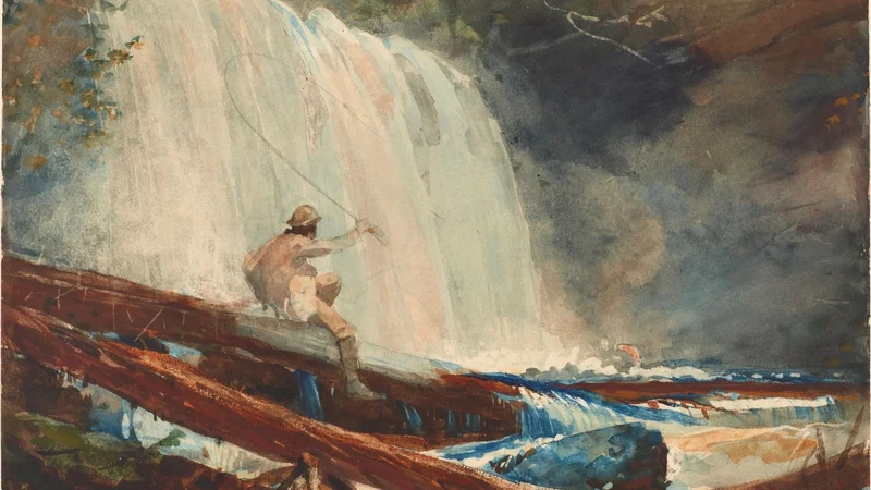 Winslow Homer — Waterfall in the Adirondacks