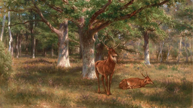 Two Deer in a Forest Glade